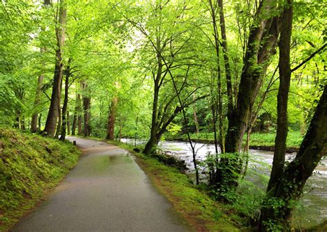 Top black forest monuments & statues: 10 Photos of MUST SEE Locations in Germany's Black Forest! #7 is STUNNING!