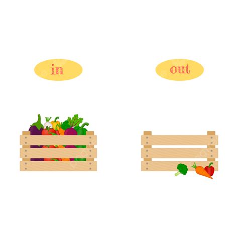 English Opposite Words In And Out Vegetables Wooden Box Vector