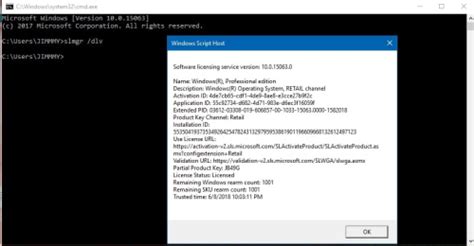 Genuine Windows 10 Pro License Key Original Activation Key Software