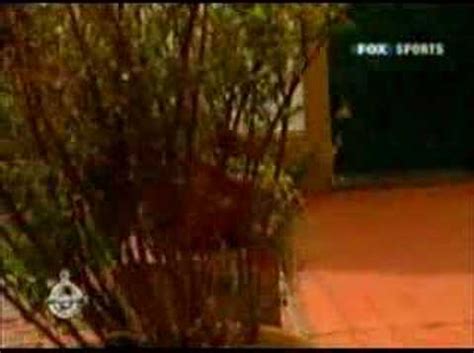 Algunos, como roberto pettinato, se expresaron en contra de las fiestas electrónicas. Sabrina Rojas | Doovi