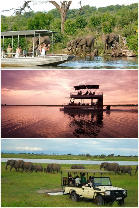 There Are So Many Amazing Ways To Witness The Wildlife Of The Chobe