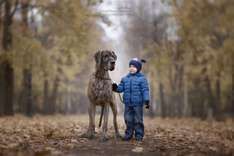 25 Cute Pictures Of Big Dogs And Little Kids By Andy Seliverstoff