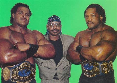 Great for any doom, butch reed or ron simmons fan. The Wrestling Insomniac: The Fabulous Freebirds unique WCW ...