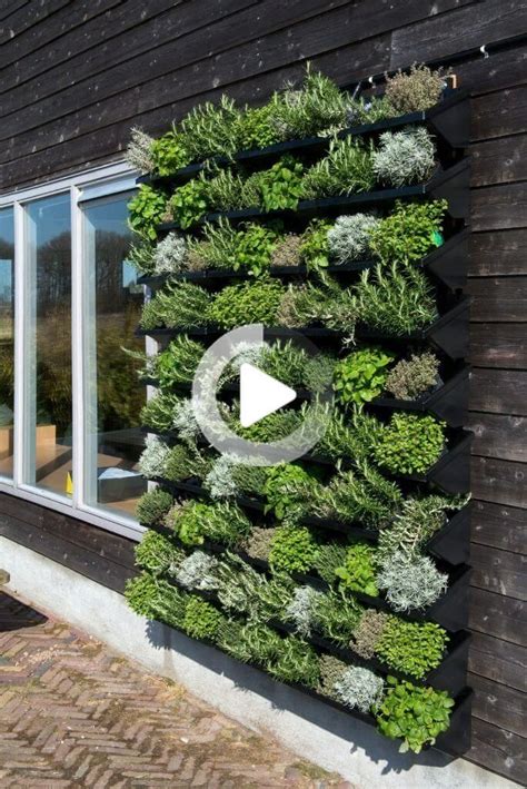 Maybe you would like to learn more about one of these? Grün will hoch hinaus | Vertikaler garten, Garten, Bepflanzung