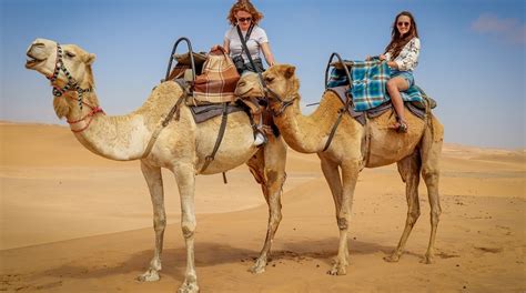 🐫the 5 Best Camel Riding Tours In Dubai 2022 Reviews World Guides