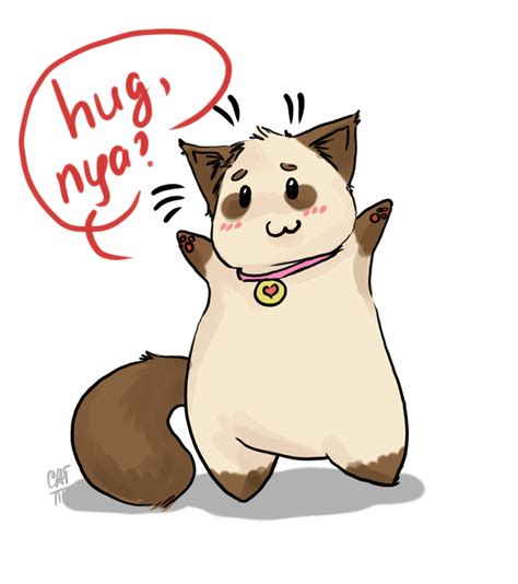 Hug Cat By Xenia Cat On Deviantart