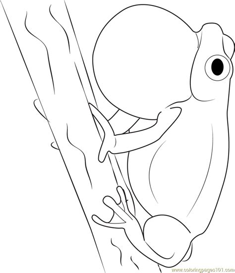 Walmart.com has been visited by 1m+ users in the past month Frog on Tree Coloring Page - Free Frog Coloring Pages ...