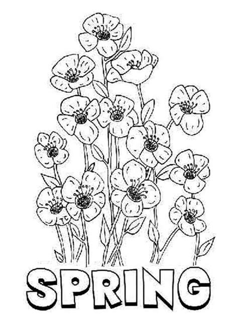 Spring coloring pages help kids develop many important skills. Blooming Spring Flower Coloring Page : Color Luna
