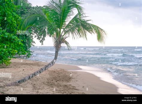 Costa Rica Caribbean Beach Vacation Travel Sand Tourist Destination