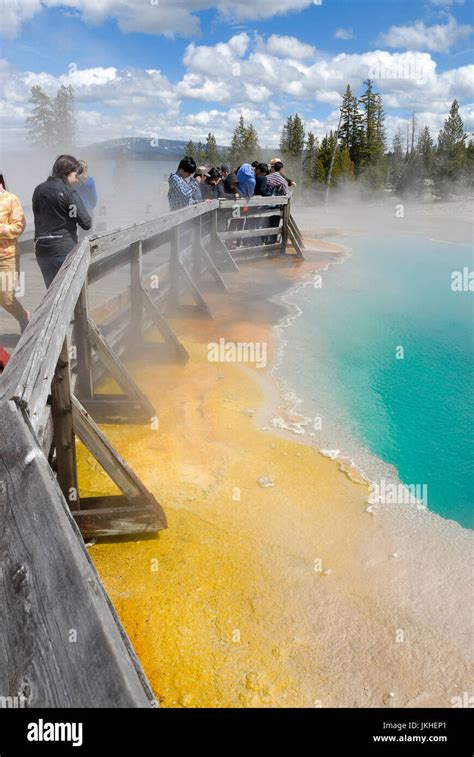 Visitors At West Thumb Geyser Basin Paint Pots Yellowstone Lake