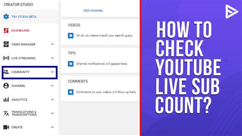 What Is Youtube Live Sub Count Real Time Subscribers Updated