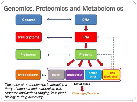 Ppt Introduction Genomics Proteomics Metabolomics Applied Genomics