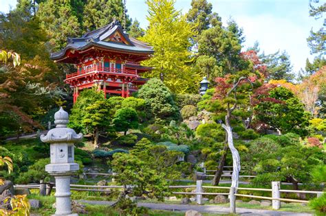 Exploring The Japanese Garden In The Golden Gate Park San Francisco