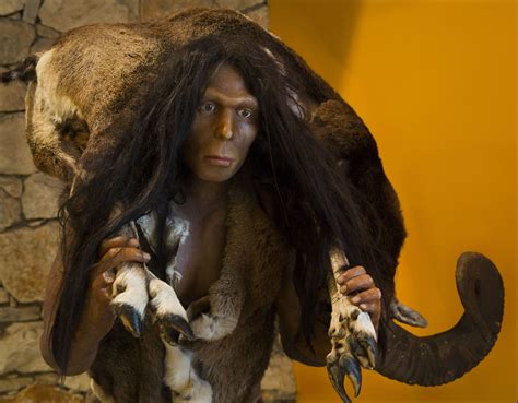 A Group Of Our Homo Erectus Ancestors Suffered A Mysterious Mass Death