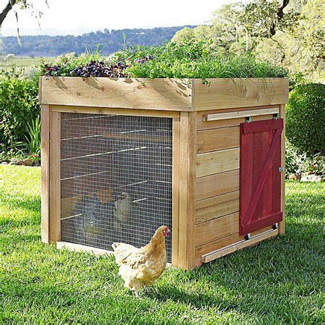Can you grow herbs around a chicken coop? 6 Cool Herb Gardens For Small Spaces | Chicken coop ...
