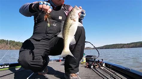 Lake Martin Spotted Bass Youtube