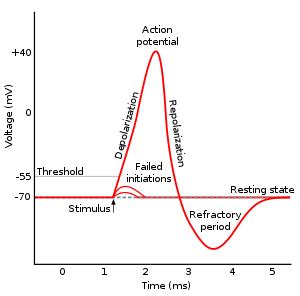 Any material that strongly resists the electric current flow is known as an insulator. Autowave - Wikipedia