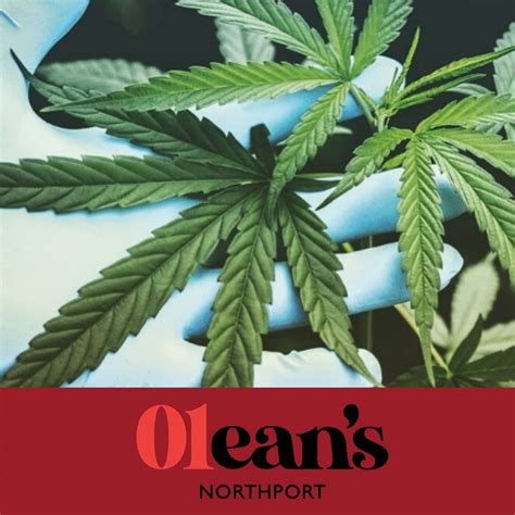 Dispensary Olean Ny