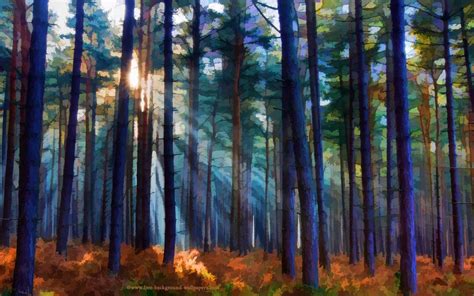 Sunlight In Forest Wallpaper And Background Image 1680x1050
