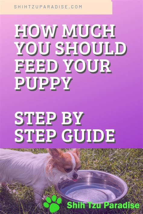 Golden retrievers are notoriously food oriented…more than any breed i have personally come across. OMG! Great Guide For Feeding My Puppy | Puppy feeding ...