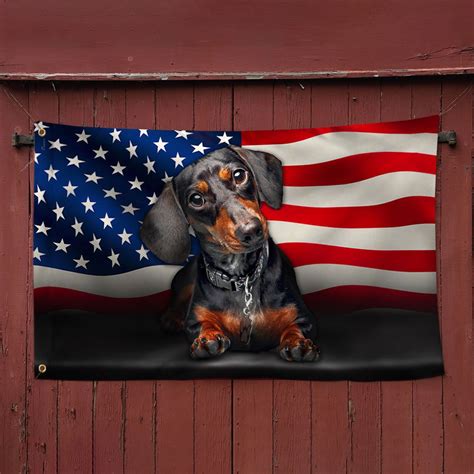 Dachshund Dog American Grommet Flag Qnn437gfv5 Flagwix