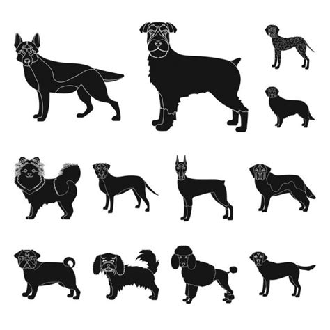 Dog Breeds Cartoonblack Icons In Set Collection For Designdog Pet
