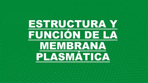 Solution Estructura Y Funci N De La Membrana Plasm Tica Studypool