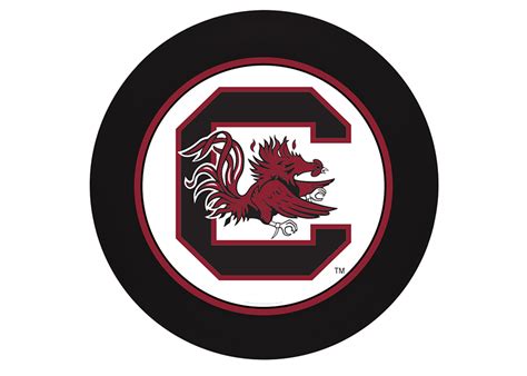 High Resolution University Of South Carolina Logo