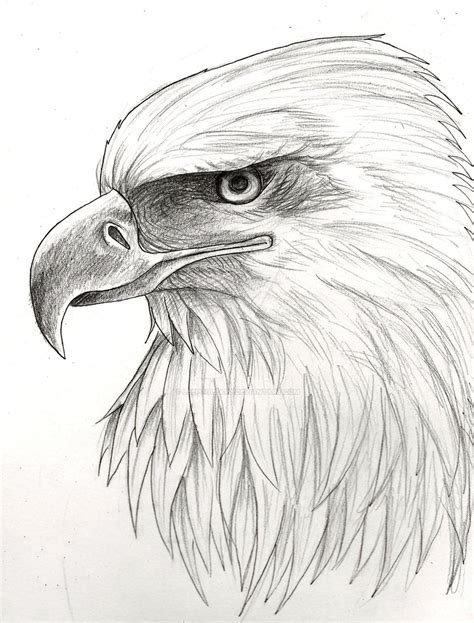 Eagle Tattoo Design By Leepooleart On Deviantart