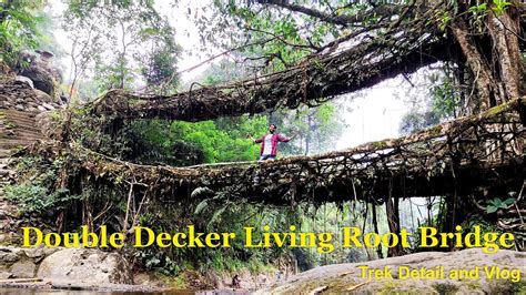 Double Decker Living Root Bridge Cherrapunji Double Decker Trek