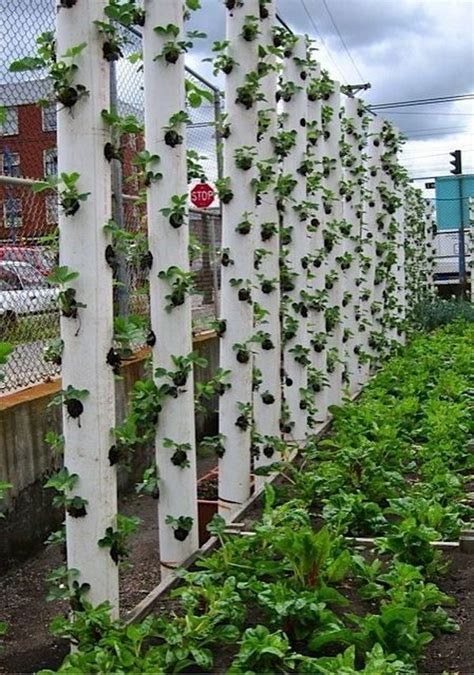 20 Cool Vertical Gardening Ideas 2017