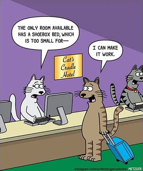Fresh And Funny Cat Comics By The Brilliant Scott Metzger Cats Funny