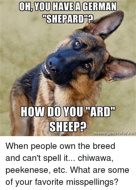 How did you teach them? OH YOU HAVE a GERMAN SHEPARD How DO YOU ARD SHEEP ...