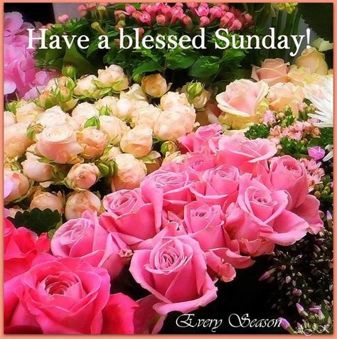 Pin by Kim S on Красивые картинки Sunday greetings Blessed sunday