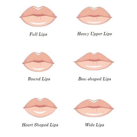 1 Ml Lip Shape Lip Fillers Lip