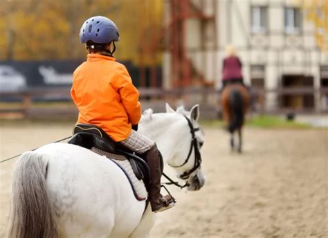 5 Reasons Horseback Riding Helps In Child Development