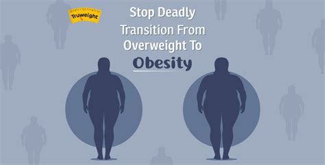 The Deadly Journey Between Overweight And Obesity Find Out Here