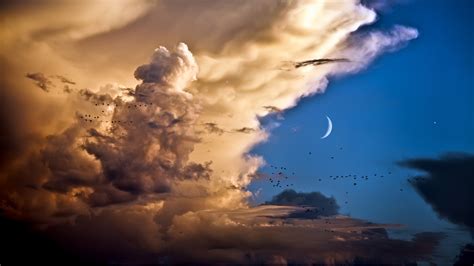 Fond Décran La Nature Des Nuages Lune Ciel Des Oiseaux