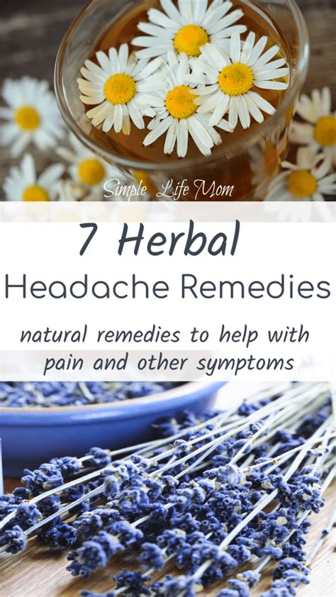 7 Herbal Headache Remedies Simple Life Mom Headache Remedies