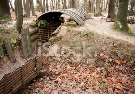 Ww1 Dugout With Trench Ypres Begium Stock Photo Royalty Free