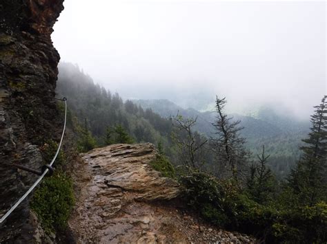 Alum Cave Trail restoration improves hiking experience | Friends of the