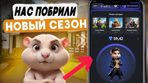 СРОЧНО HAMSTER KOMBAT ВСЕХ КИНУЛИ КАК ВЫВЕСТИ ДЕНЬГИ ОБНОВЛЕНИЕ В