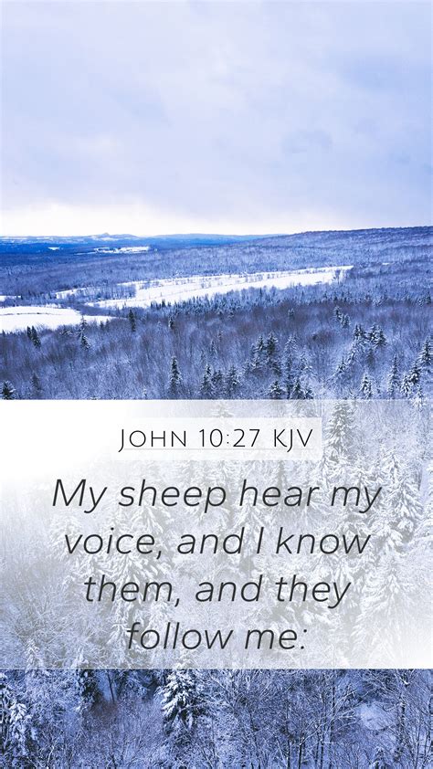 John 1027 Kjv Mobile Phone Wallpaper My Sheep Hear My Voice And I