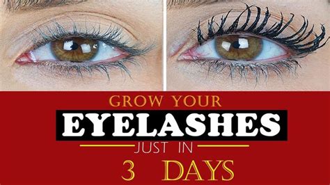 grow your eyelashes just in 3 days natural ways to grow your eyelashes super fast diy lash