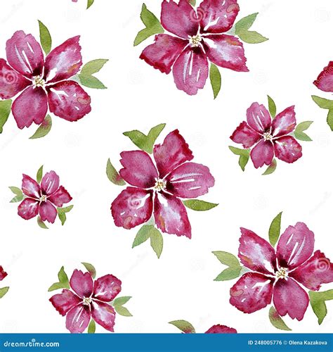 Watercolor Garden Flower Collection Design Elements Pink Red Flowers