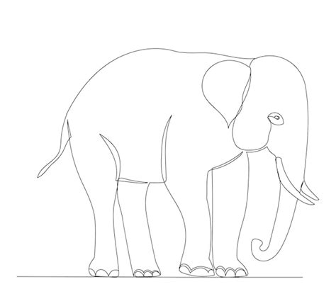 Dibujo de elefante por un vector de boceto de línea continua Vector