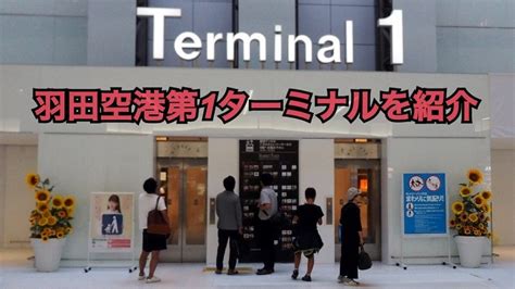 詳細な情報につきましては各運行会社までお問い合わせください。 （お問い合わせ先一覧） 道路交通情報は「成田空港アクセスナビ」をご確認ください。 ご利用の航空会社によってターミナルが異なりますので、必ず事前にご確認ください。 （航空会社. 【JAL国内線・SKY】羽田空港第1ターミナルの施設ガイド - モリブロ