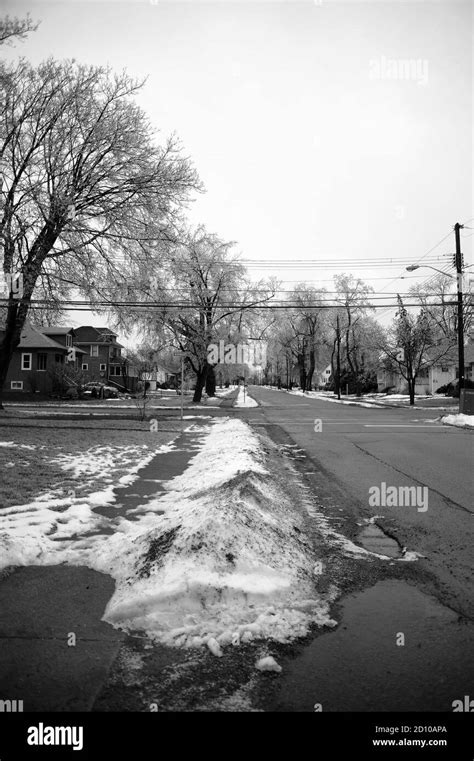 The Effects Of An Ice Storm In Clare Avenue Stock Photo Alamy