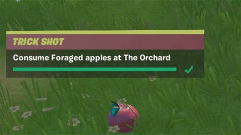 Consume Foraged Apples At The Orchard Guide Fortnite Trick Shot