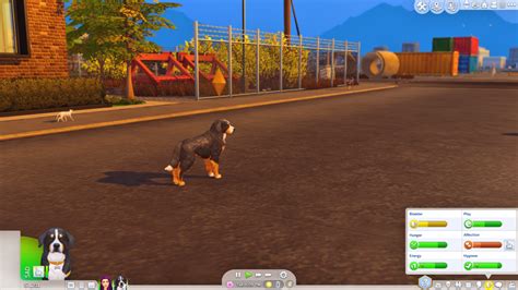 25 Essential Sims 4 Pet Mods For More Fun And Realistic Pets 062023